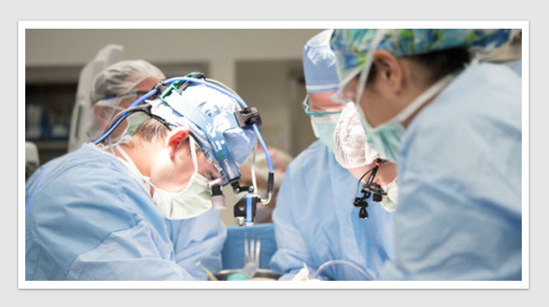 MedTech News - Dual-chamber leadless pacemaker system implanted in first patient - Abbott