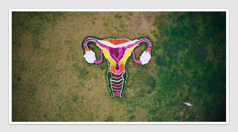 Bayer launches nation's first interactive garden, shaped as the female reproductive system